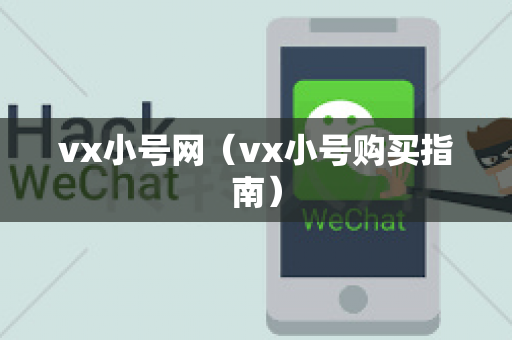 vx小号网（vx小号购买指南）