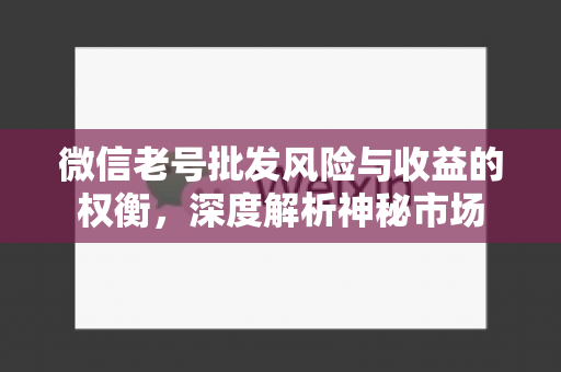 微信老号批发风险与收益的权衡，深度解析神秘市场