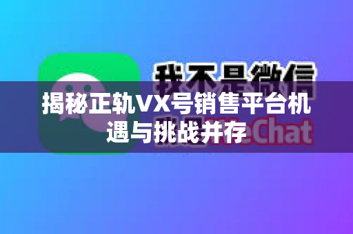 揭秘正轨VX号销售平台机遇与挑战并存
