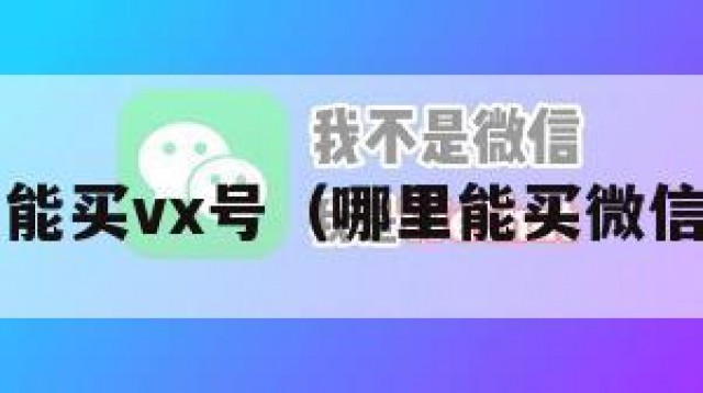 哪里能买vx号（哪里能买微信号?）